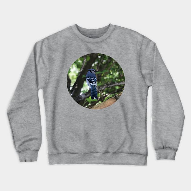 Blue Jay Crewneck Sweatshirt by BirdKeeperNick